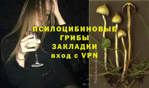 спайс Абаза